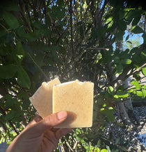 Load image into Gallery viewer, Chamomile Honey Glow